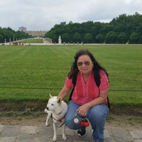 Ver perfil de Sonia Lacava